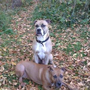 Meet your Posher, Lawrence